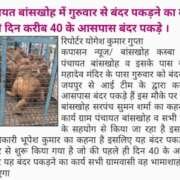 Bansakhoh Gram Panchayat Launches Monkey Catching