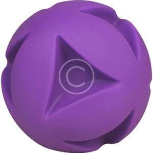 Ball Dog Toy